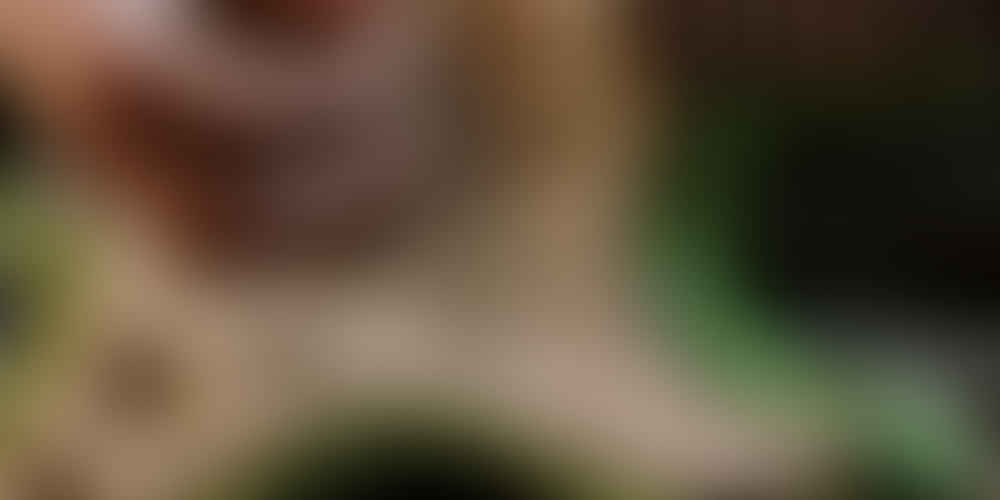 What is an e-cigarette?