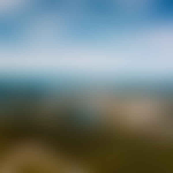 Top Vape Shops in Ashland City, Tennessee