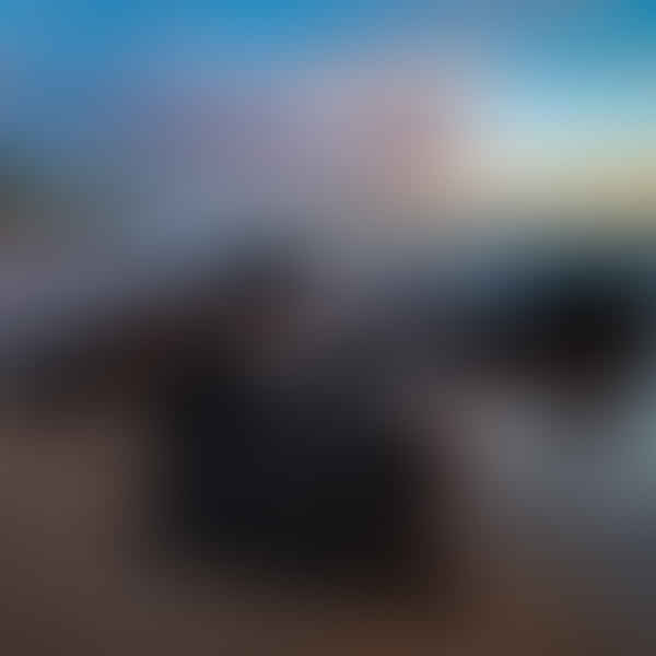 Top Vape Shops in Hilo, Hawaii