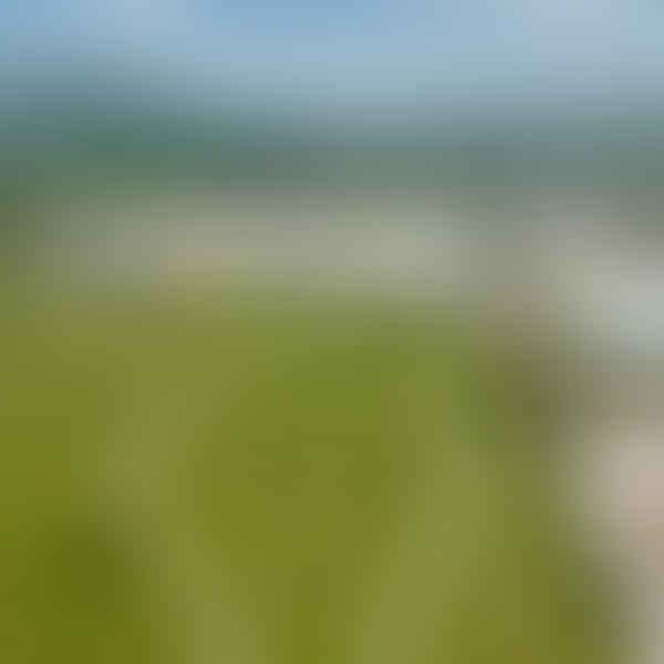 Top Vape Shops in Knoxville, Tennessee