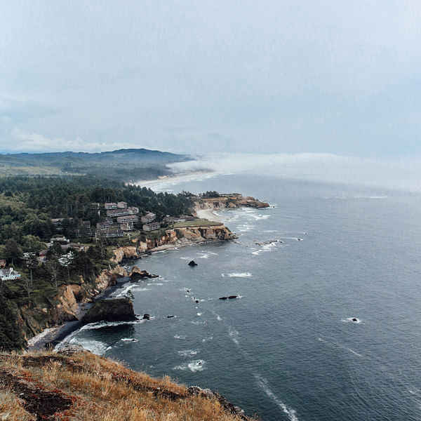 Top Vape Shops in Lake Oswego, Oregon