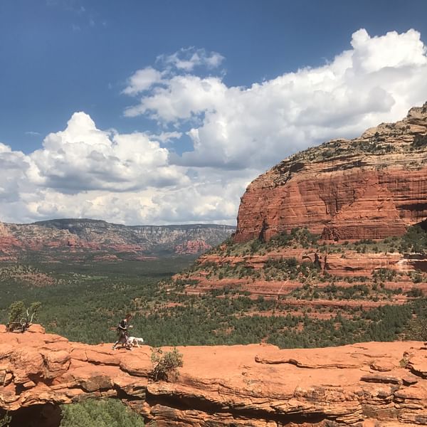 Top Vape Shops in Mesa, Arizona